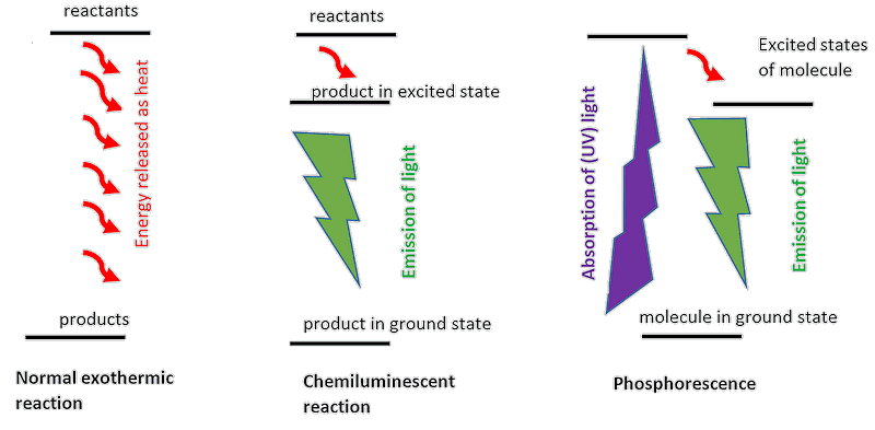 Different types of light emission from excited molecules Different types of light emission from excited molecules